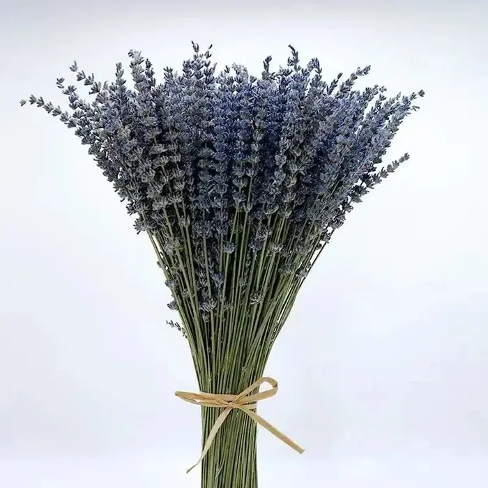 Bouquets de fleurs séchées naturelles de µpour la décoration intérieure