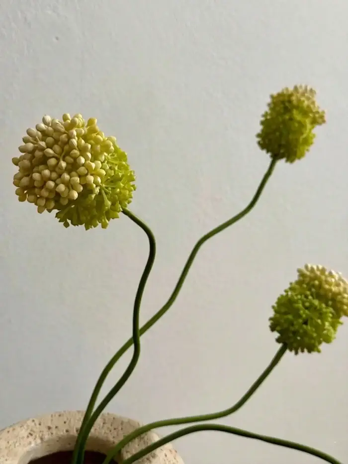 2 pièces d'alliums artificiels à 2 têtes