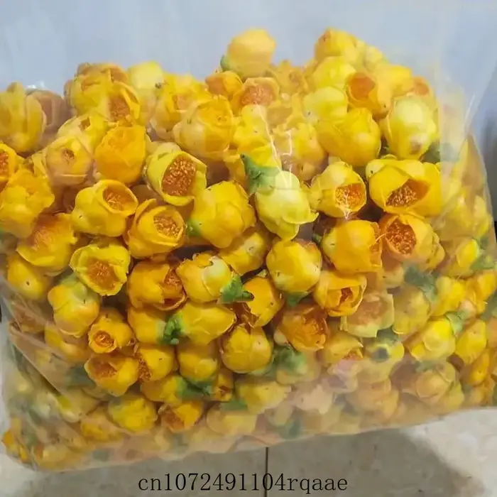 Fleur de Camellia Nitidissima séchée de qualité supérieure 50g/100g/200g