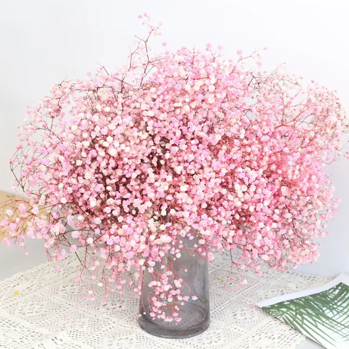 Bouquet de fleurs de gypsophile séchées naturelles