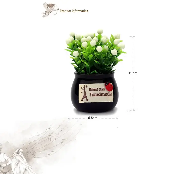 Plante porte-bonheur en pot