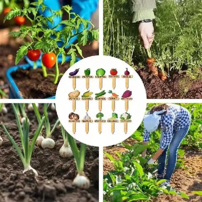 Lot de 15 étiquettes en bois pour plantes - Marqueurs de jardin faciles à coller pour le jardinage extérieur et la