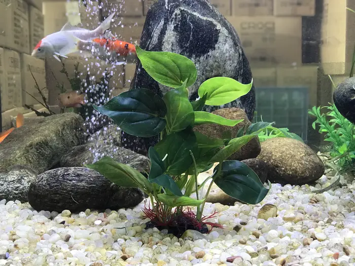 Plantes artificielles de décoration d'aquarium