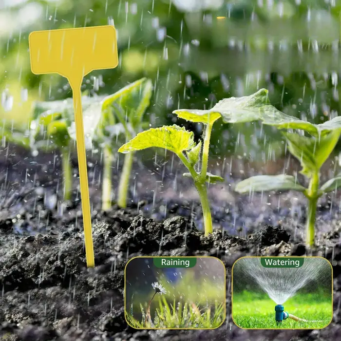 Étiquettes de plantes de jardin en plastique de Type T