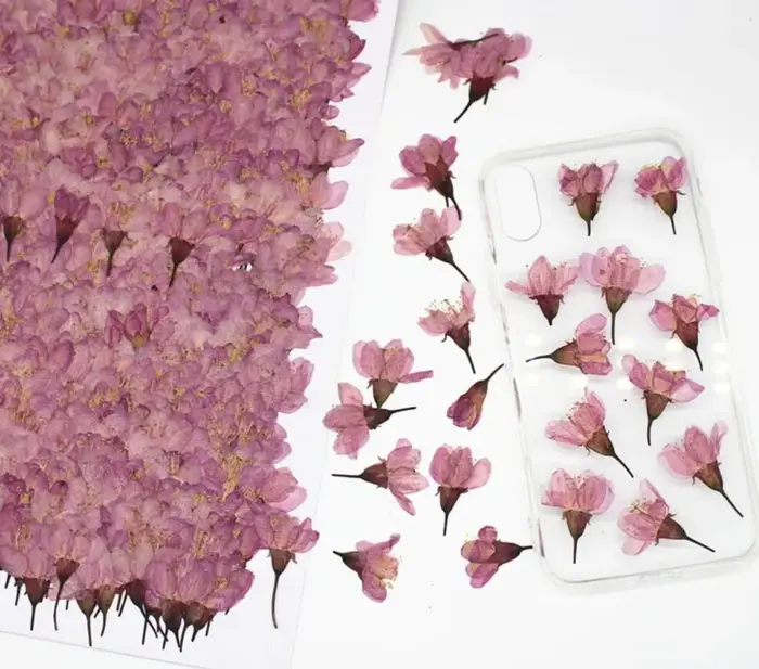 120 pièces de fleurs de cerisier Sakura séchées pressées pour la fabrication de bijoux en résine, ca