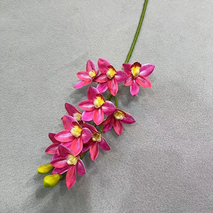 Cymbidium artificiel Hookerianum 10 têtes simulé Vanda Cymbidium Tropical Phalaenopsis tigre orchidé