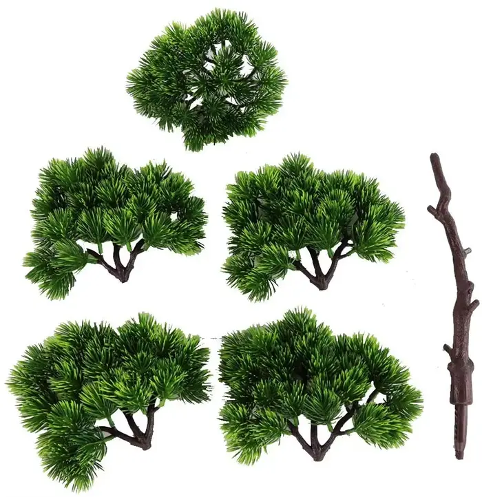 Plante bonsaï de pin japonais pour la décoration de la maison