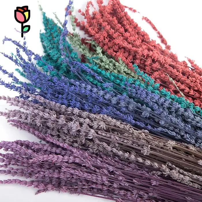 Bouquets de fleurs séchées de lavande préservée naturelle, 100 pièces, décoration de fête de mariage, fleur artificielle Pampas, décoration de noël pour la maison