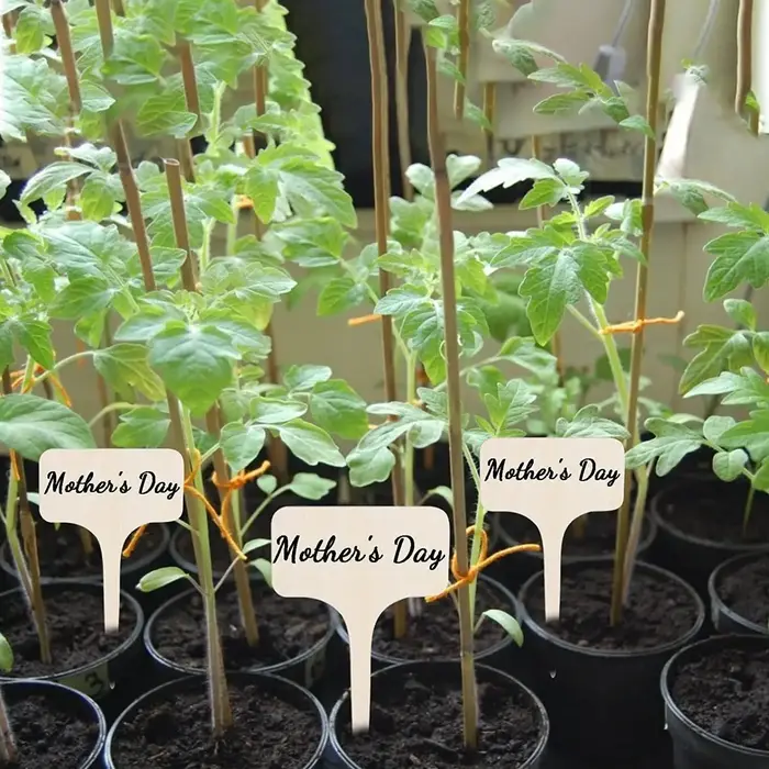 10/20/30 pièces marqueur de jardin cartes d'identification de plantes étiquettes