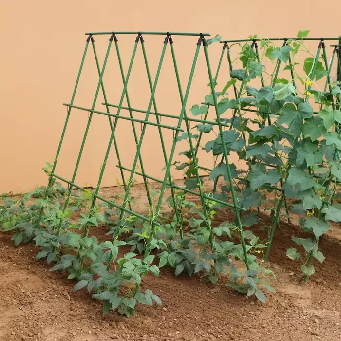 Nouveau 2026 Treillis de support robuste pour plantes grimpantes