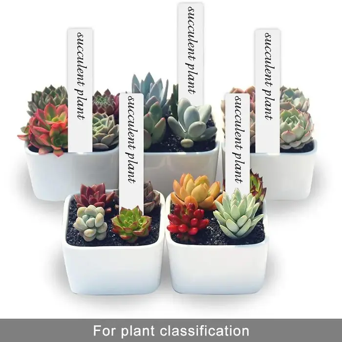 100 étiquettes de jardin en plastique pour plantes