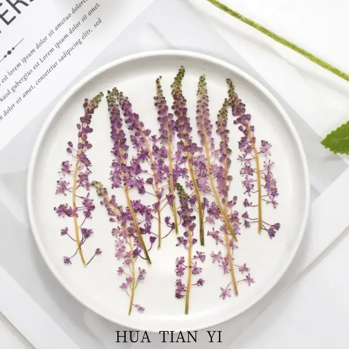 Fleur de Jujube en coton sauvage naturel