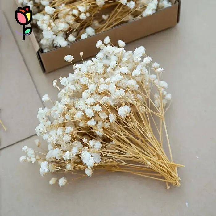 Bouquet de fleurs sèches