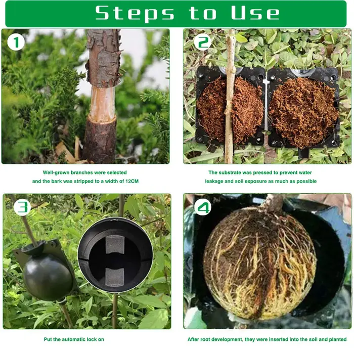 Boule d'enracinement de plantes réutilisable de 5cm