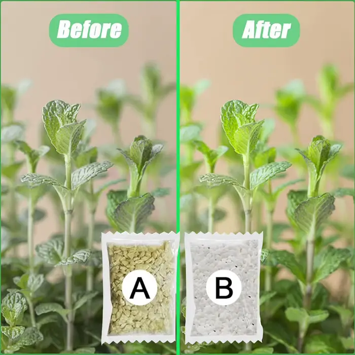 Engrais de jardin A + B pour plantes hydroponiques concentrées