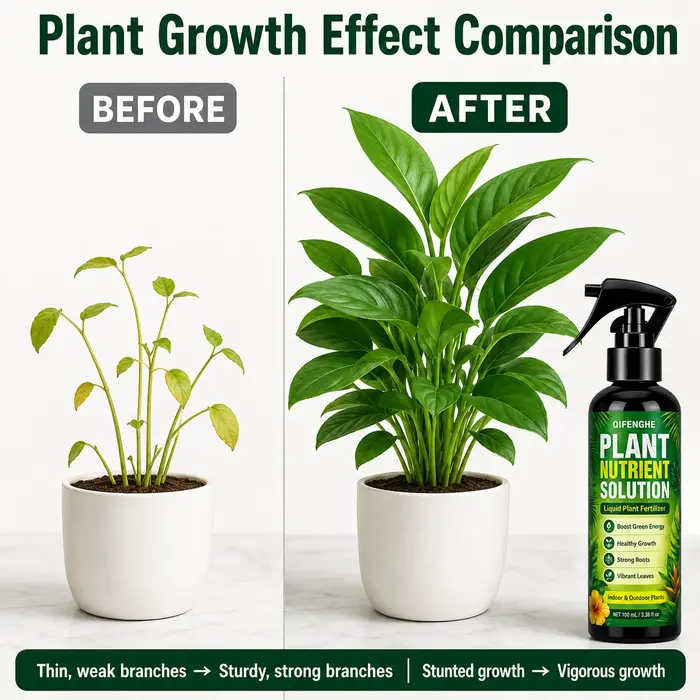 Engrais liquide universel pour plantes, favorise la croissance des racines et des feuilles vertes, idéal pour la revitalisation des plantes en pot d'intérieur.