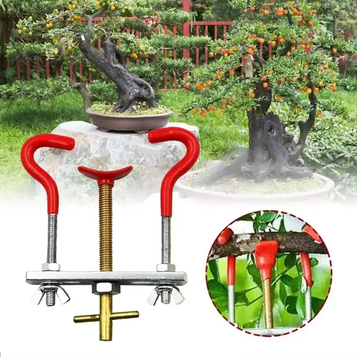 Outil de pliage de branches de bonsaï
