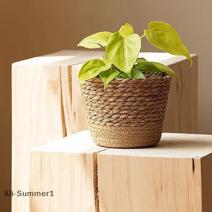 Pot de plantes à fleurs tissées en paille