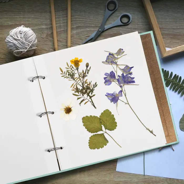 Album de scrapbooking botanique auto-adhésif pour fleurs pressées, feuilles séchées, collection d'he