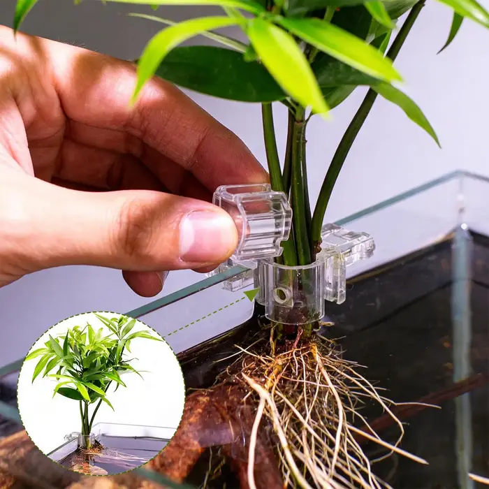 Support de Plantes d'Aquarium 6 Pièces