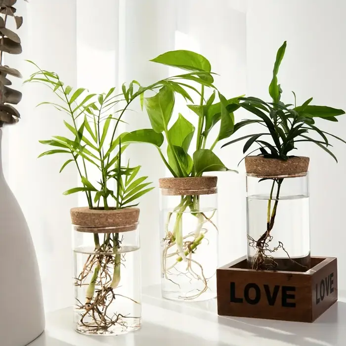 1pc, Vase de jardinière en verre de bureau pour plantes hydroponiques pour la décoration de la maison