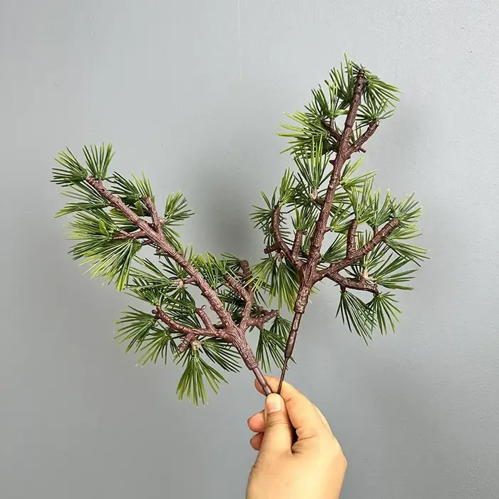 Simulation de branche de Podocarpus