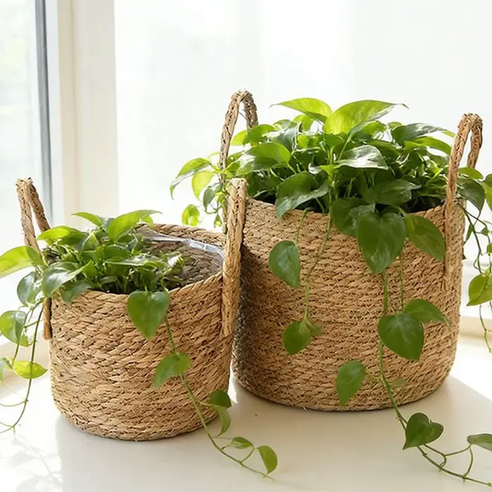 Panier à plantes en osier avec poignées