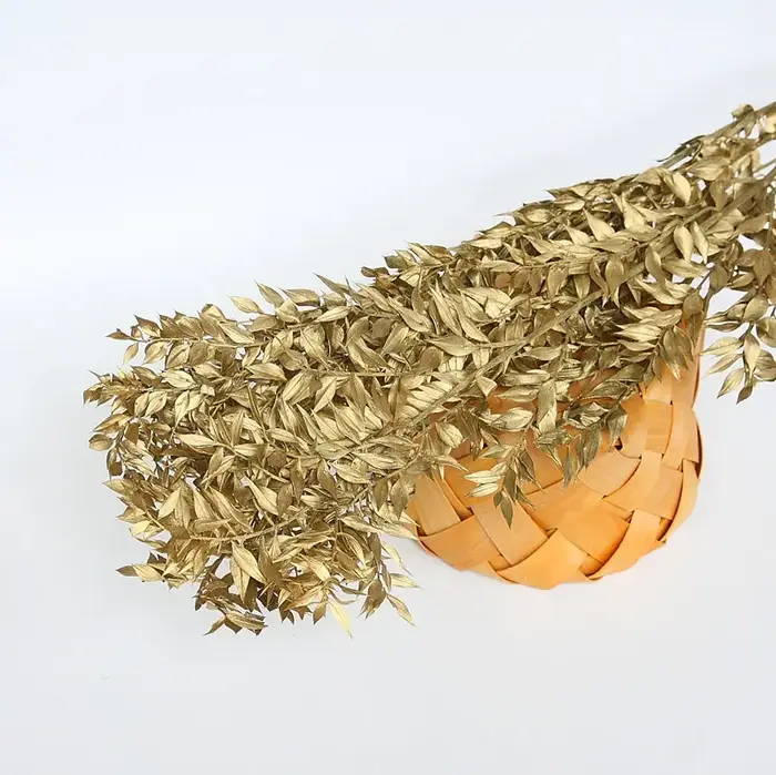 Bouquet de 50g de feuilles d'eucalyptus Ruscus artificielles séchées, décoration pour la maison et le jardin, plantes préservées, tiges de branches, arrangement de mariage