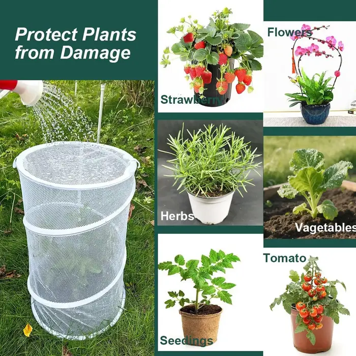 Cloches de protection pour plantes de jardin avec 4 piquets de sol et 6 cartes d'identification