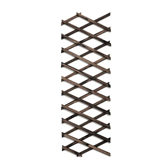 Extra Optics-Cadre d'escalade extensible pour plante