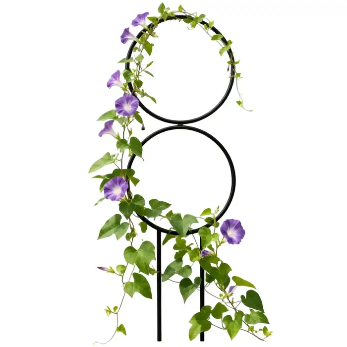 Treillis pour plantes en pot