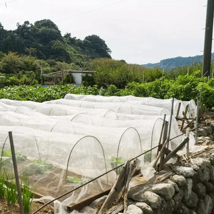 Arche de serre DIY pour tunnel végétal, arches de support en fibre de verre antirouille, idéales pou