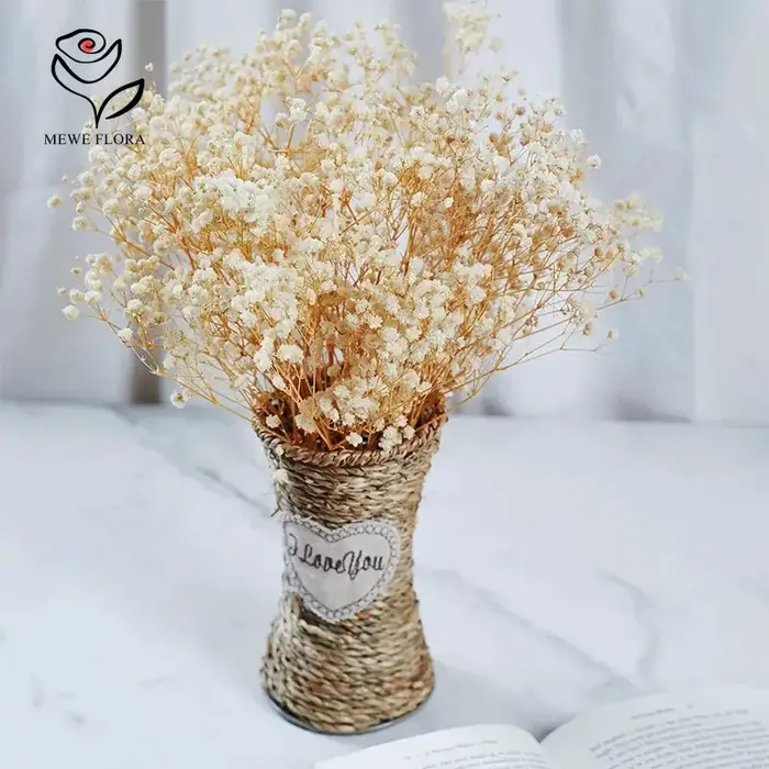 Vraies fleurs séchées gypsophile bébé souffle Bouquet
