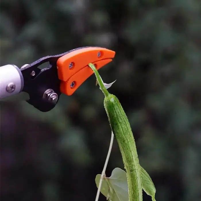 Sécateur à très longue portée en aluminium durable et léger, idéal pour les arbres fruitiers de jardin, avec perche de coupe