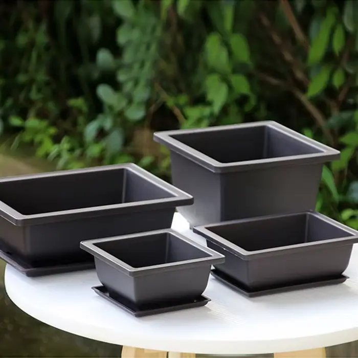 Pot de fleurs de bonsaï en plastique
