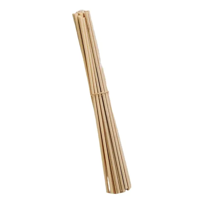 100 pièces bâtons de diffuseur de roseaux ensemble 3mm 8 pouces