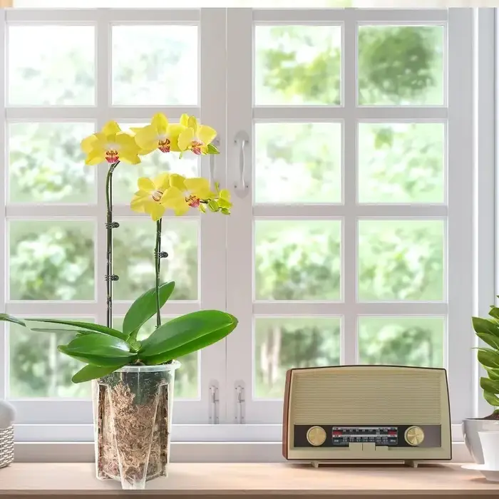 Pot de fleurs en plastique PP transparent respirant avec trous d'aération pour orchidées