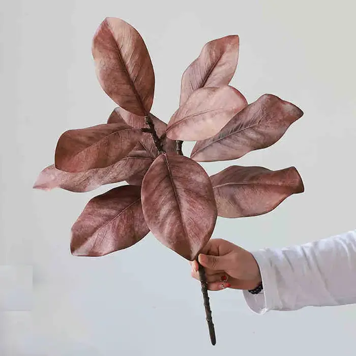 Plantes vertes de Simulation