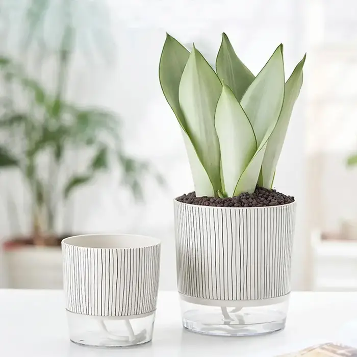 Pot de plantes transparent auto-arrosant