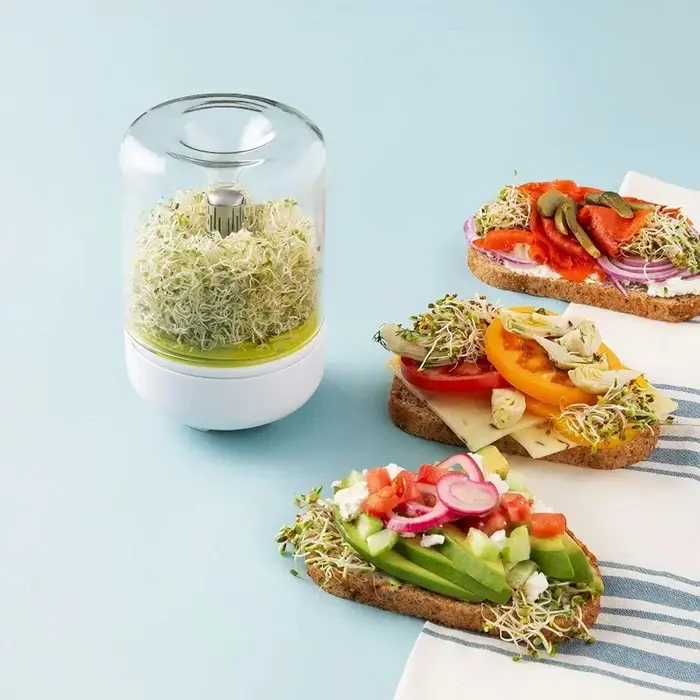 Kit de Germination de Comptoir Réutilisable pour la Maison et la Cuisine – Système
