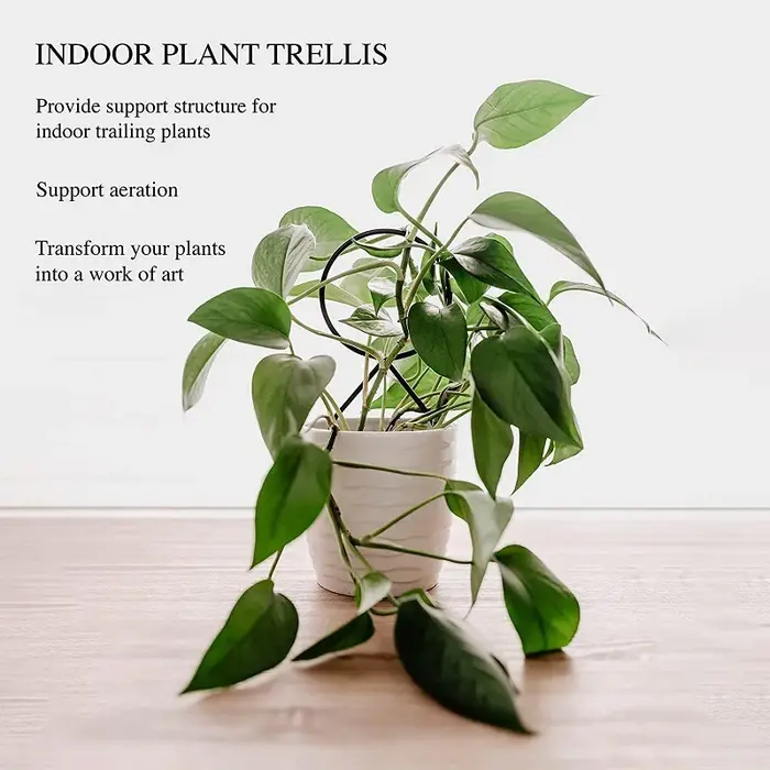 Support d'escalade pour plantes