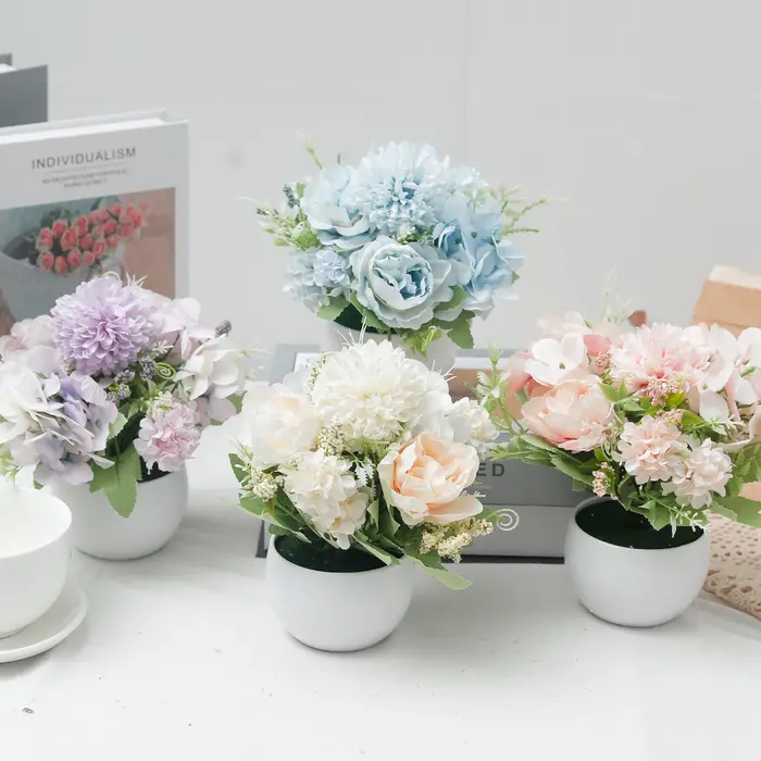 Plante d'hortensia en pot