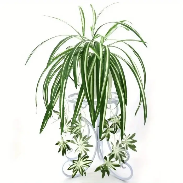 Plantes artificielles suspendues au mur