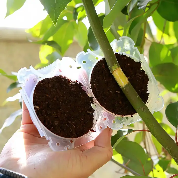 Lot de 5/30 boules de bouturage haute pression pour plantes