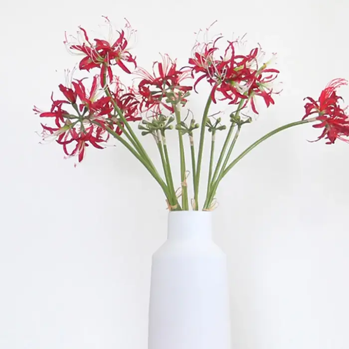 Fleurs artificielles de lys araignée rouge