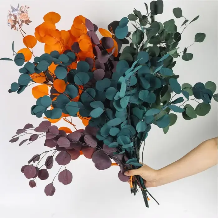 Bouquet de feuilles d'eucalyptus conservées