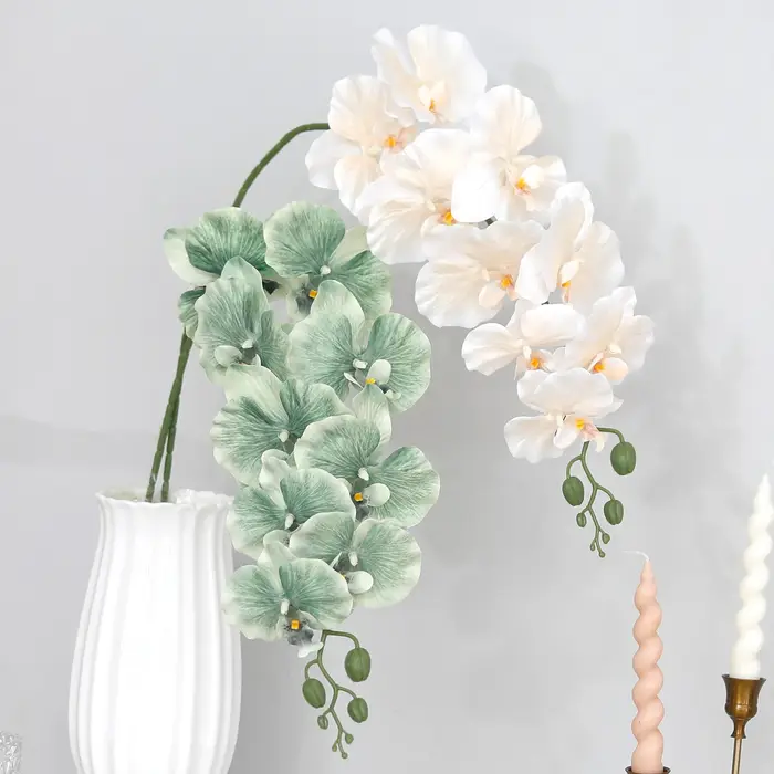 Branches de fleurs de Phalaenopsis artificielles 3D