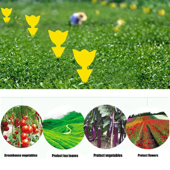Pièges à insectes collants jaunes double face (10-30 pièces) pour plantes d'intérieur