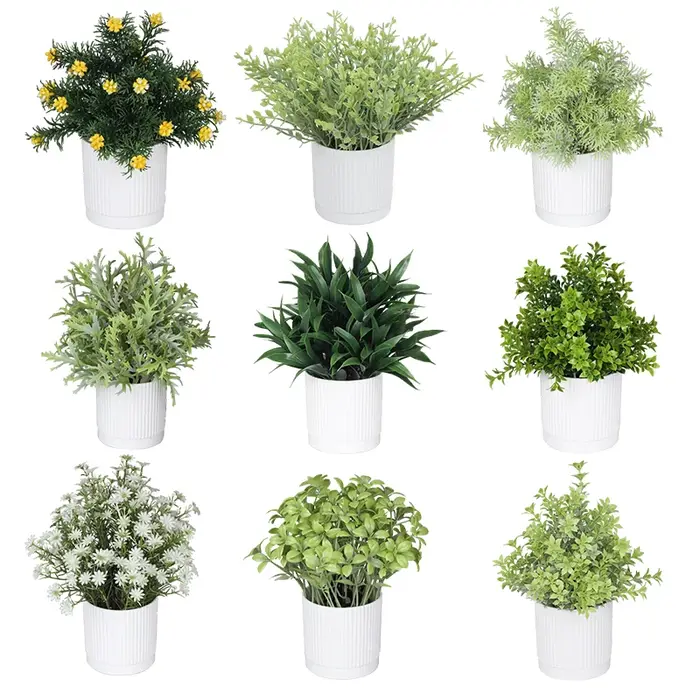 Plantes vertes bonsaï simulées