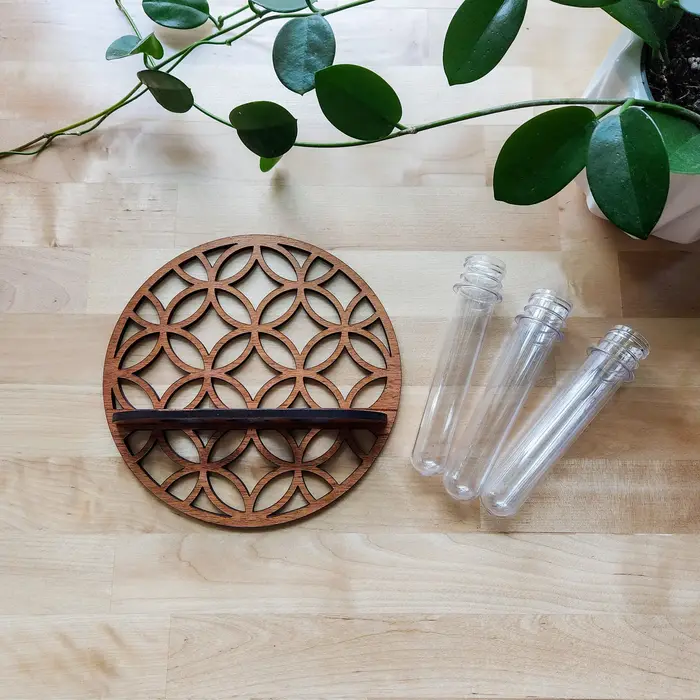Station de Propagation des plantes
